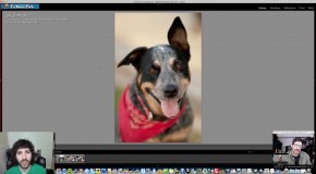 Raw Edit of the Week 56 – Its a Dog