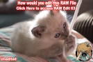 Edit this RAW File Week 63