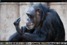 Edit this RAW File Week 64 – Your Raw Edits 63