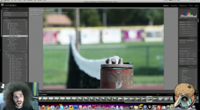 Photography Tutorial – Depth of Field