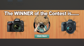 The WINNER of the Nikon D600 or Canon 6D is…