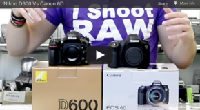 Nikon D600 Vs Canon 6D