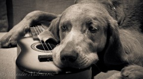 Top 5 from Feb 18th and 19th – New Theme is “Wide Open”