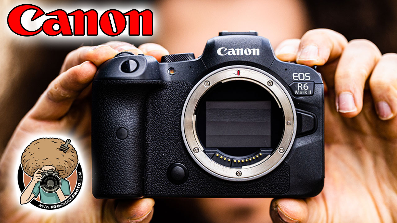 Putting the New Canon R6 Mark II Through Its Paces